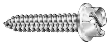 License Plate Screws - Slotted Hex Head