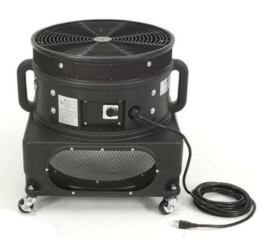 Air Dancer  - Snowman