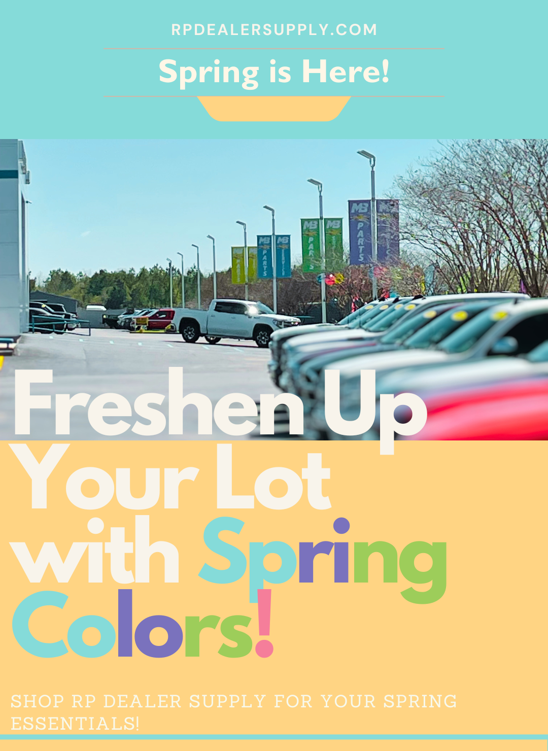 Spring Collection