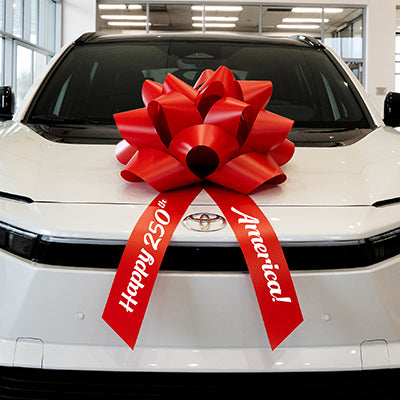 Premium Car Bows - Happy 250th America