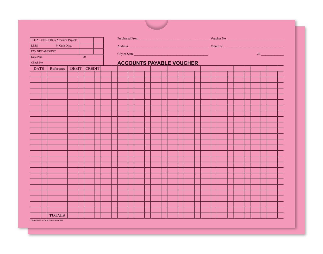 Accounts Payable Voucher Env - General Acct Style