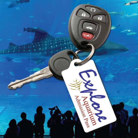 Hard Plastic Key Chains